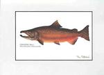 fish print - chinook salmon
