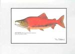 fish print - sockeye salmon